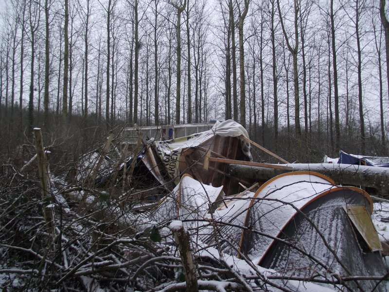 2013-01-18 abattage arbres - Chefresne
